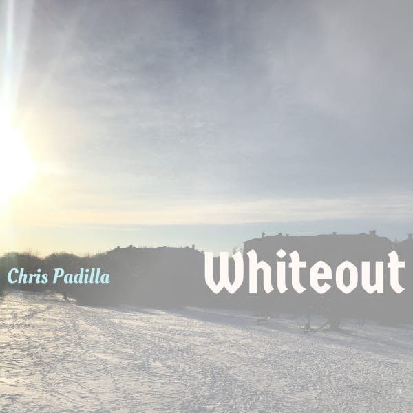Cover art for Whiteout.