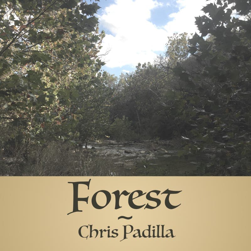 Cover art for Forest.