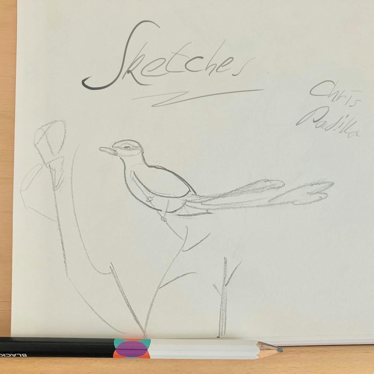 Cover art for Sketches.